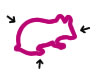 biomarqueurs4